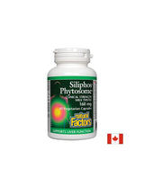 Ciulin de lapte premium / Siliphos Phytosome 160 mg - 60 capsule