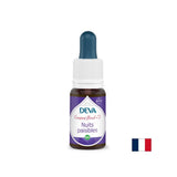 Nopți liniștite, picături conform metodei Bach nr. 2, 15 ml