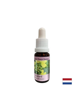 Against negative thoughts and depression - Essence Sinap No. 21, drops 15 ml - Nutra Best Europe