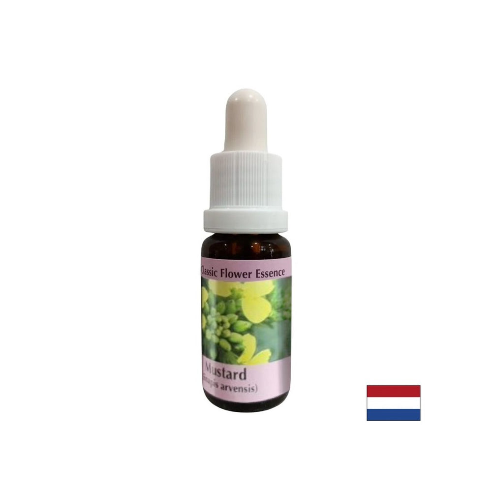 Împotriva gândurilor negative și a depresiei - Essence Sinap Nr. 21, picături 15 ml