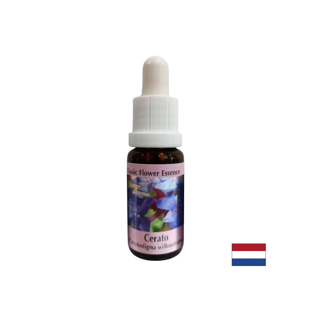 Stimulează intuiția și luarea deciziilor - Esență Ceratosigma (Ceară) Nr. 5, picături 15 ml