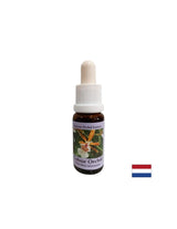 Stimulează o atitudine pozitivă față de viață - Essence Colorful Orchid No. 7, picături 15 ml