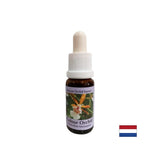 Stimulează o atitudine pozitivă față de viață - Essence Colorful Orchid No. 7, picături 15 ml