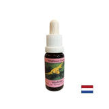 Stimulează schimbarea conștientă - Essence White Mistletoe No. 12, picături 15 ml