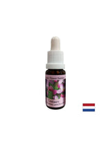 Stimulează voința - Esență de sunătoare nr. 4, picături 15 ml