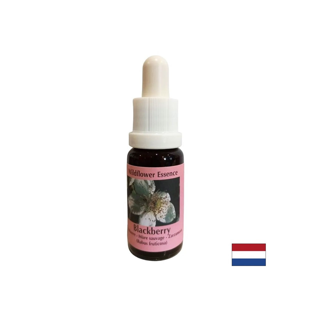 Stimulează vitalitatea și activează creativitatea - Esența de mure nr. 22, picături 15 ml