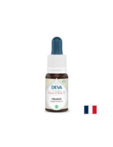 Frică și incertitudine - Janka, picături Bach, 15 ml