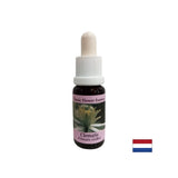 Conectează lumea interioară cu realitatea - Essence Povet Nr. 9, picături 15 ml