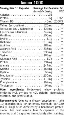 Amino 1000 500 capsule