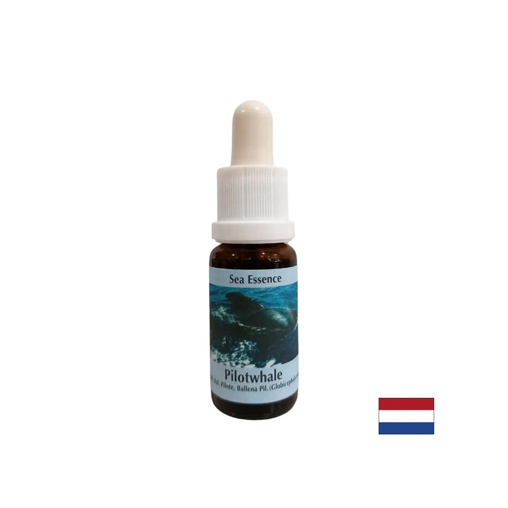 Pentru meditație - Essence Black Grind Nr. 10, picături 15 ml