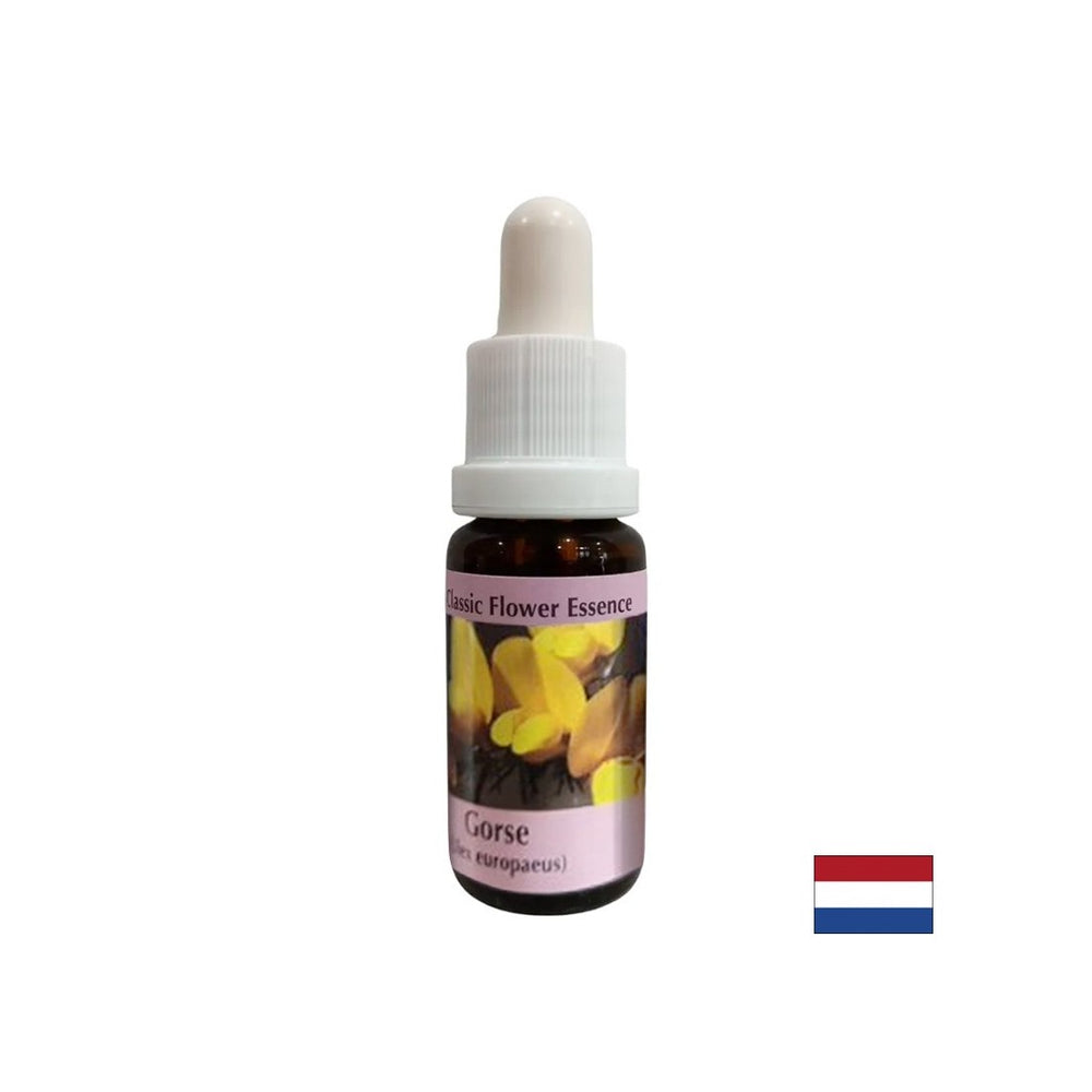 Pentru un nou început - Essence Preshtip Nr. 13, picături 15 ml