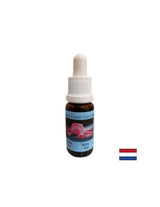 Pentru mai multă vitalitate și încredere - Essence Rubin Nr. 12, picături 15 ml