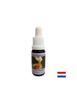Pentru recunoașterea sarcinilor vitale - Orchid Essence Psyche Nr. 17, picături 15 ml
