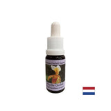 Pentru recunoașterea sarcinilor vitale - Orchid Essence Psyche Nr. 17, picături 15 ml