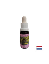 Energizează - Esență de stejar nr. 22, picături 15 ml